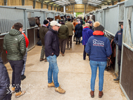 BP240223-81 - Owners looking around the stables